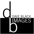 Dave Black Images Logo